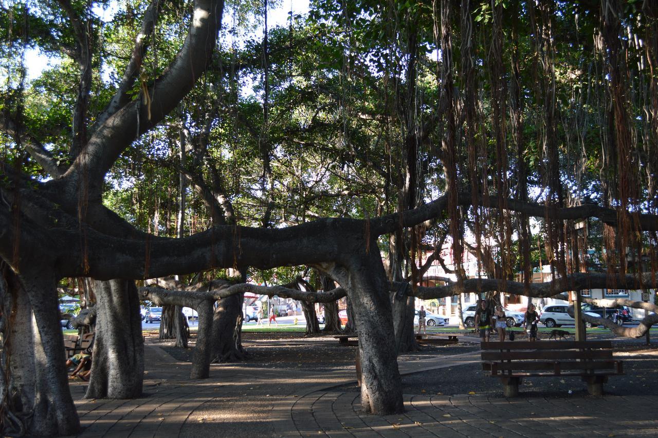 The Lahaina Beach House Hostel Ngoại thất bức ảnh